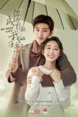 Nonton Serial Mandarin My Dear Lady (2020) Sub Indo