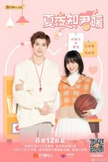 Nonton Drama China Love of Summer Nights Sub Indo