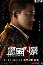 Nonton Drama Hong Kong In the Storm (2022) Sub Indo