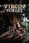 Virgin Forest (2022)